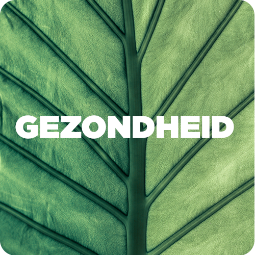 Gezondheid